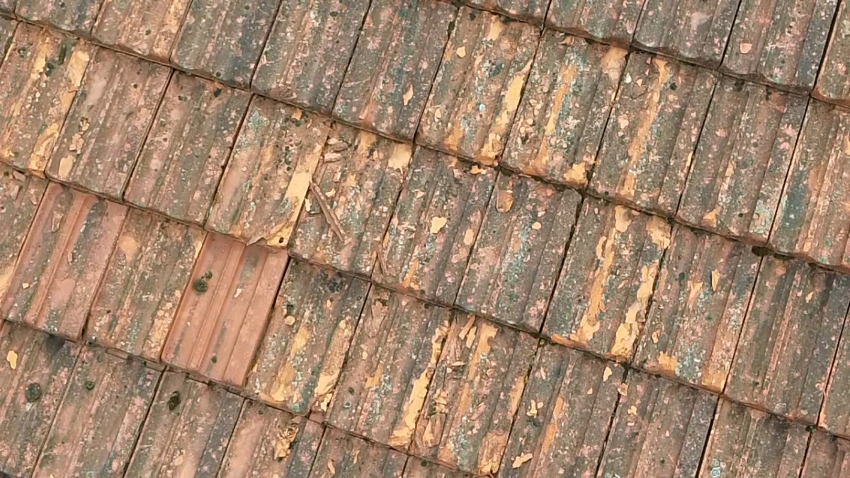 1000018115
