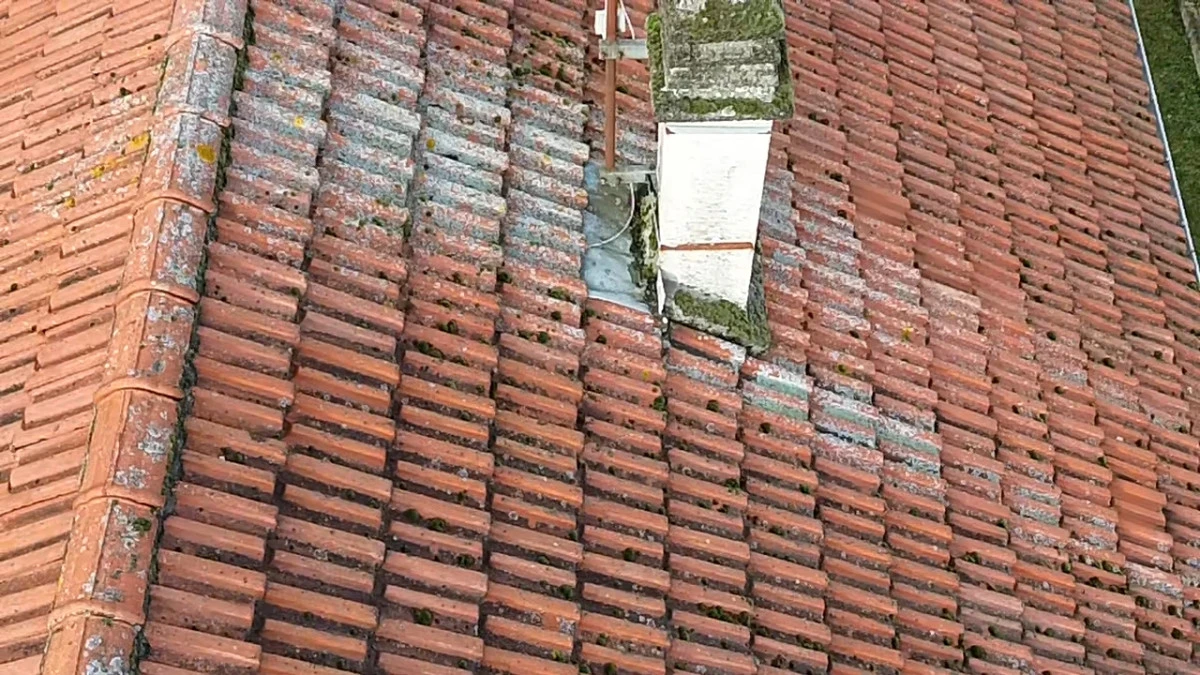 1000028815