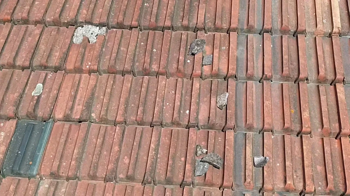 1000041795