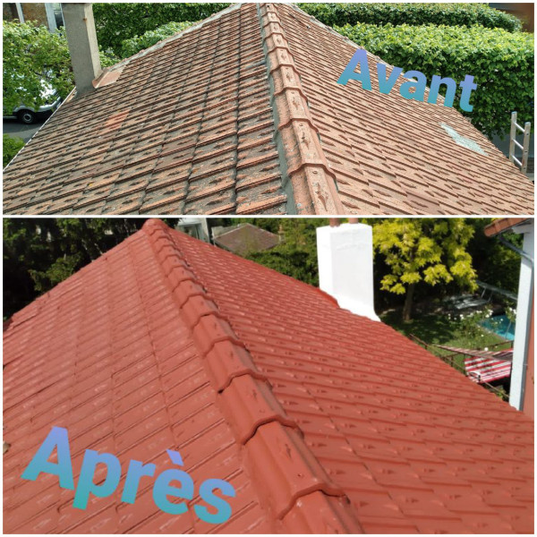 Rénovation toiture pour traitement des fuites et remplacement d'ardoises  